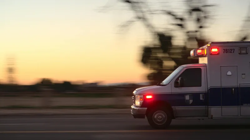 Curso de Gestión y Coordinación en Protección Civil y Emergencias (SEAD0311) con Prácticas - Certificado de Profesionalidad