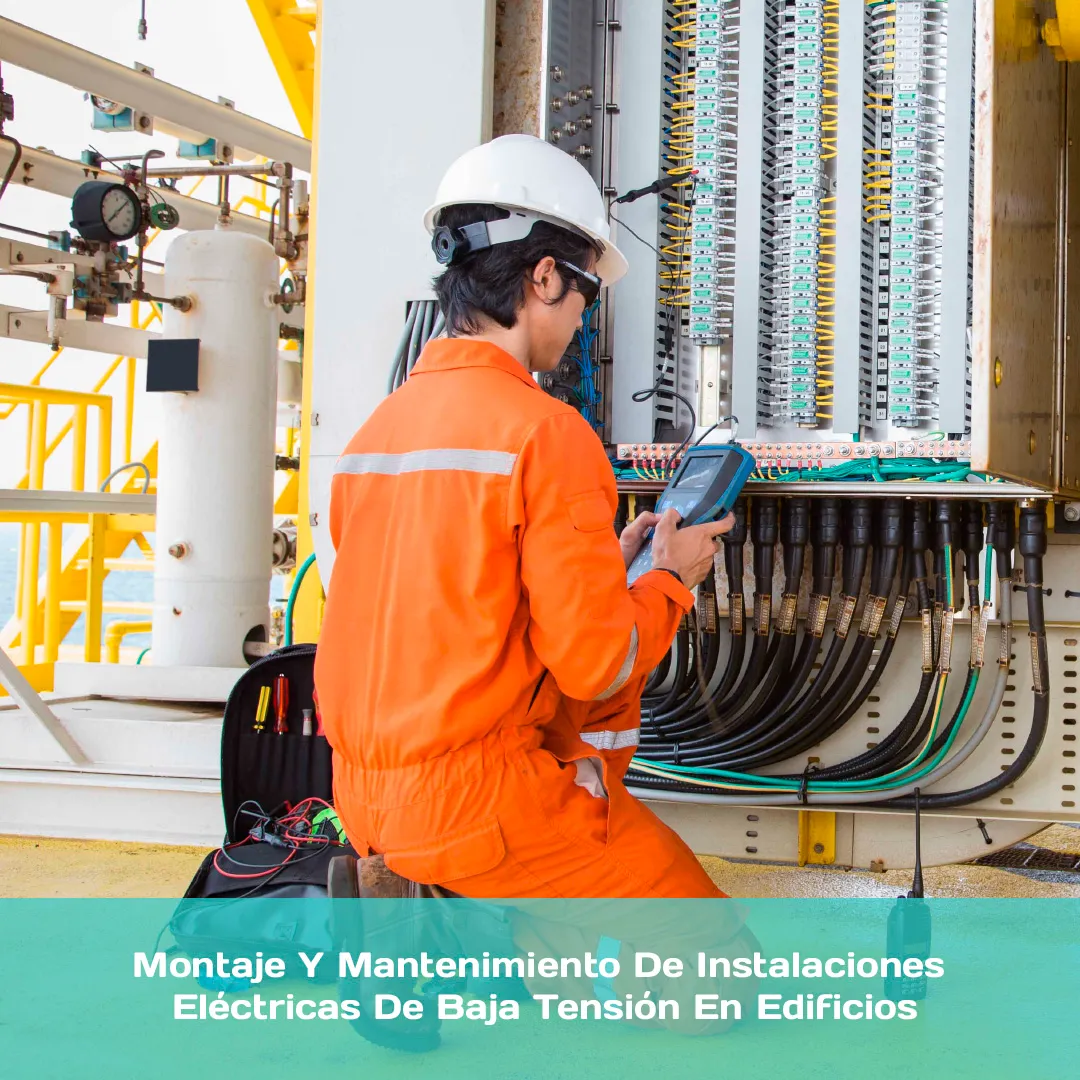 Montaje y Mantenimiento de instalaciones eléctricas de baja tensión 